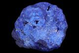 Vivid, Blue, Cut/Polished Azurite Nodule - Siberia #93461-1